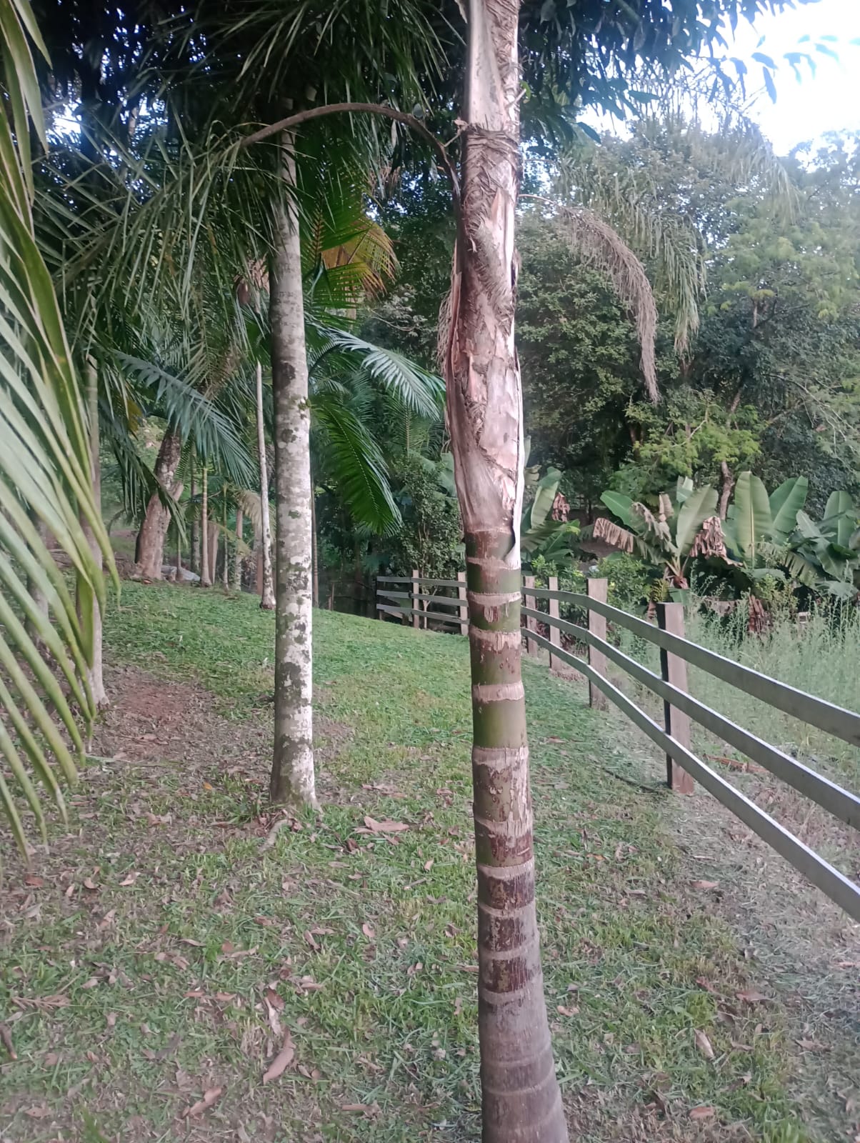 Chácara em Estância Velha