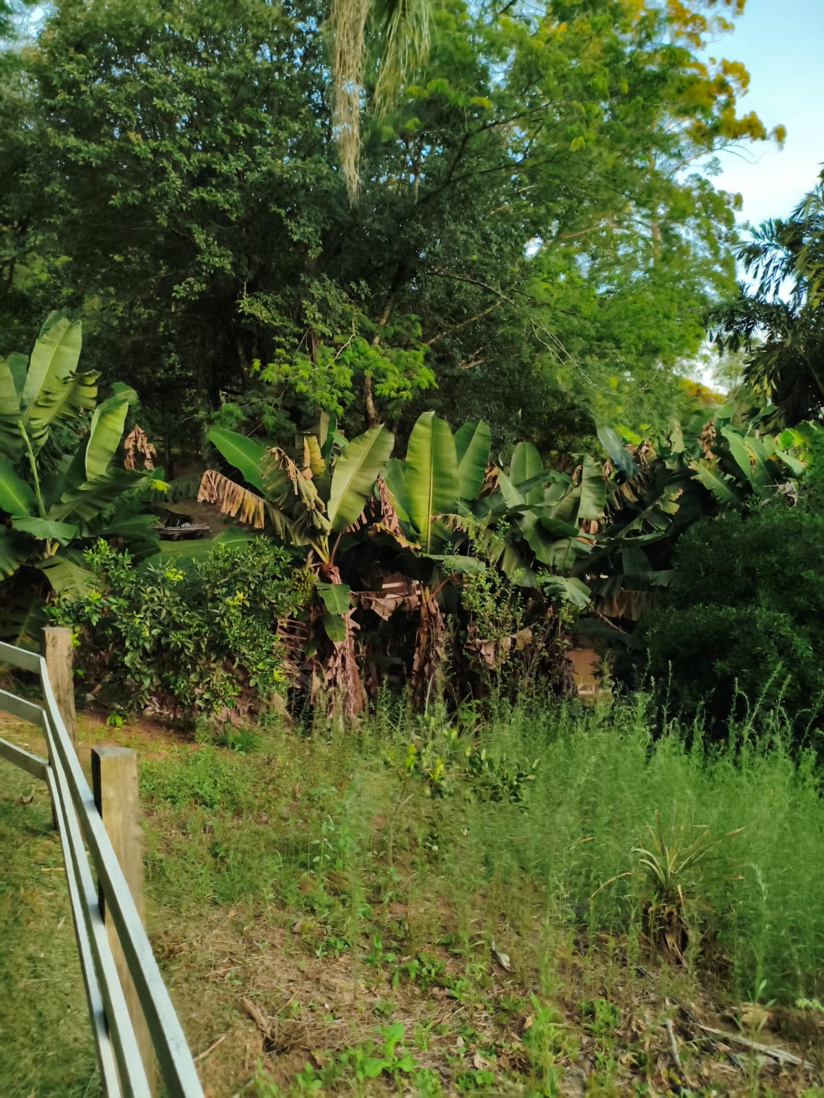 Chácara em Estância Velha
