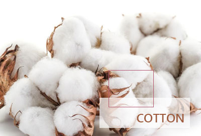 cotton