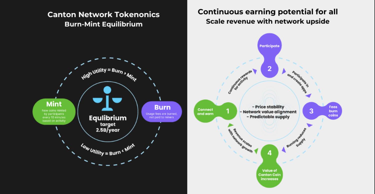 How Canton Coin (CC) Tokenomics Rewards Utility | DAIC Capital