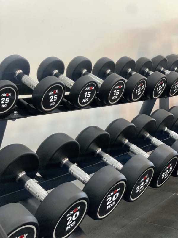 Axox Fitness Round Dumbbell Set | 12.5 -25 Kg - Axox Fitness