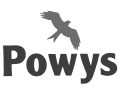 Powys logo