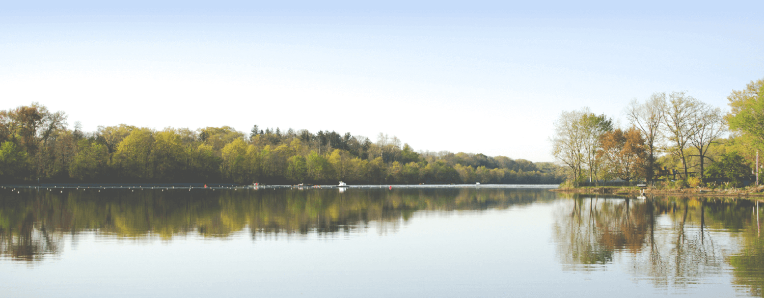 A calm lake with nice trees and peaceful water