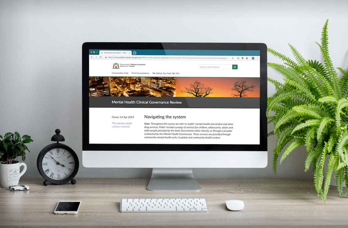 computer with a citizen space healthcare consultation open