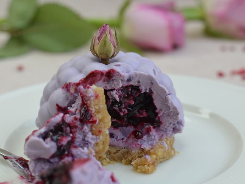 Fantezie - prăjitură cu coacăze negre — Prăjituri raw vegan — fără gluten, fără lactoză, fără zahăr rafinat — Delicii Sănătoase Cluj