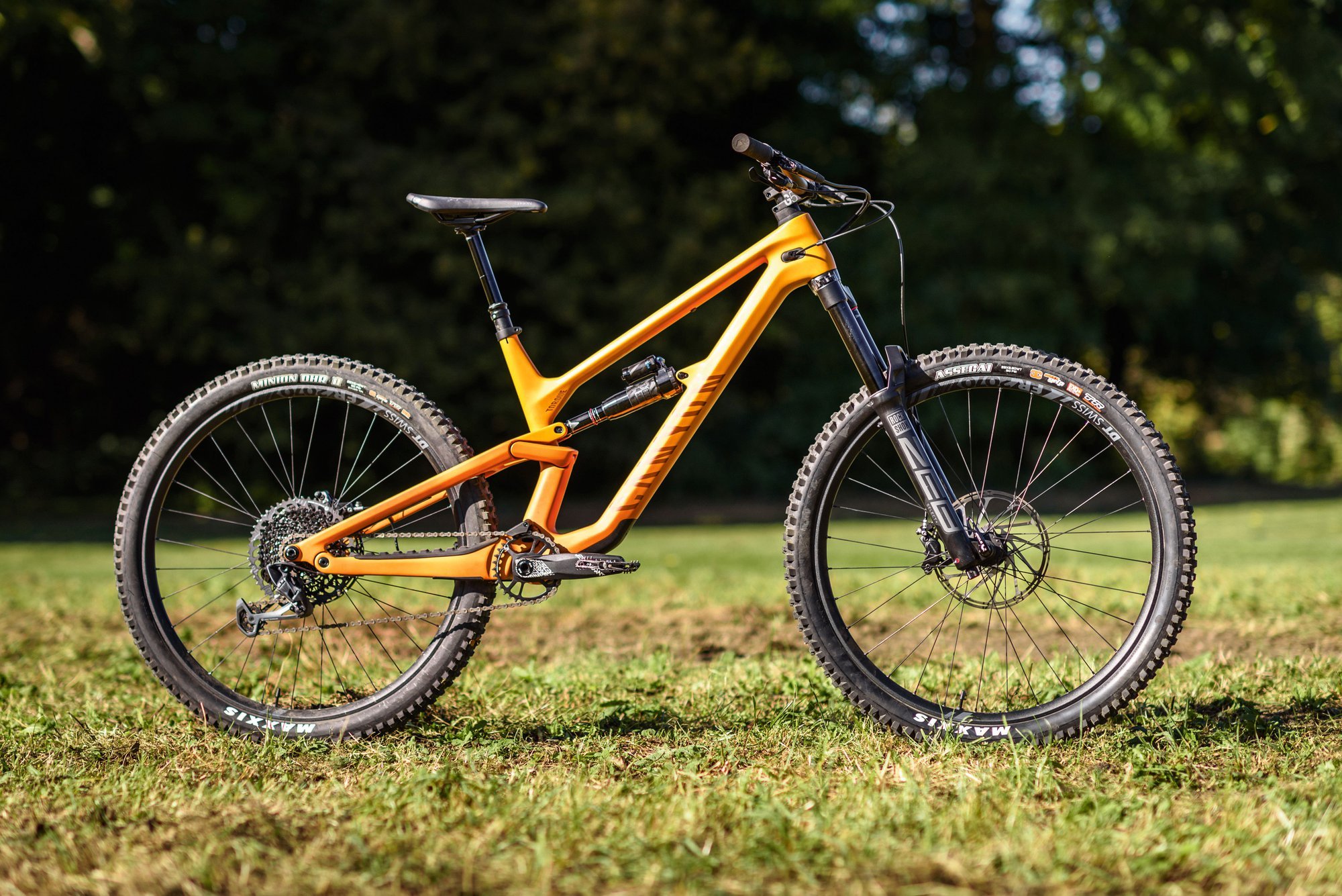 Enduros up to 4000 euros: Canyon Torque 29 CF 7 - the test winner