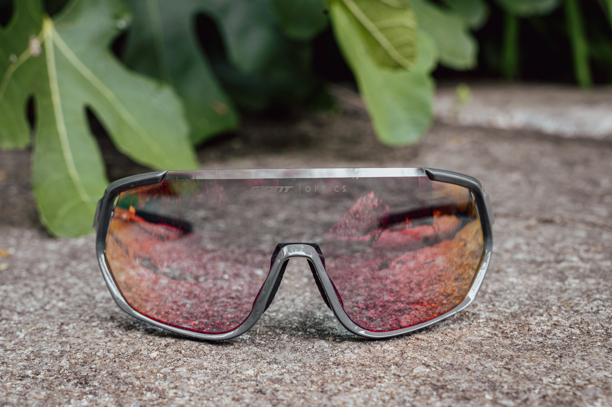 Test sunglasses: Giant Agos - Price banger from the bike giant | BIKE