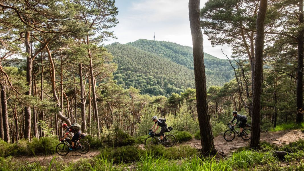 Bikepacking im Pfälzerwald - Vier Tage mit dem Gravelbike im Pfälzerwald