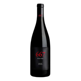 Noble vines 667 pinot noir 2016 hotsell