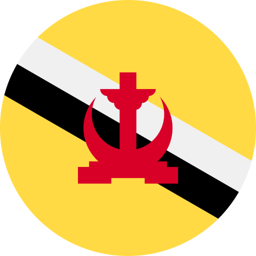 Brunei flag