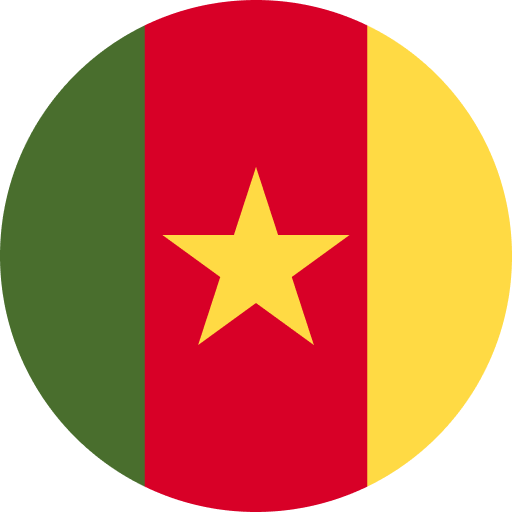 Cameroon flag