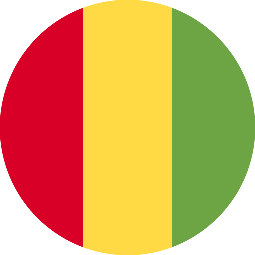 Guinea flag