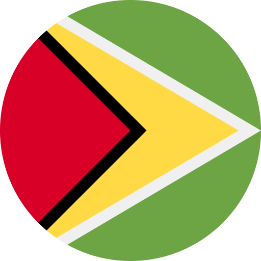 Guyana flag