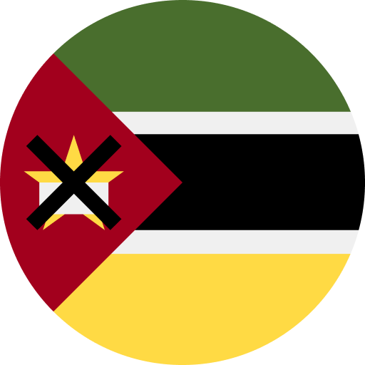 Mozambique flag