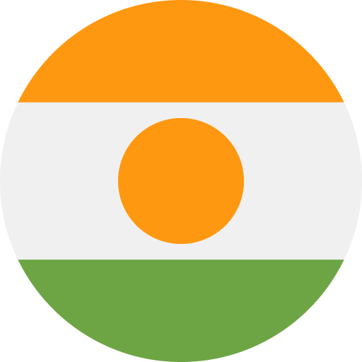 Niger flag