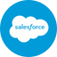 Salesforce icon