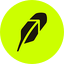 Robinhood icon