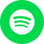 Spotify icon