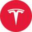 Tesla icon