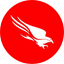CrowdStrike icon