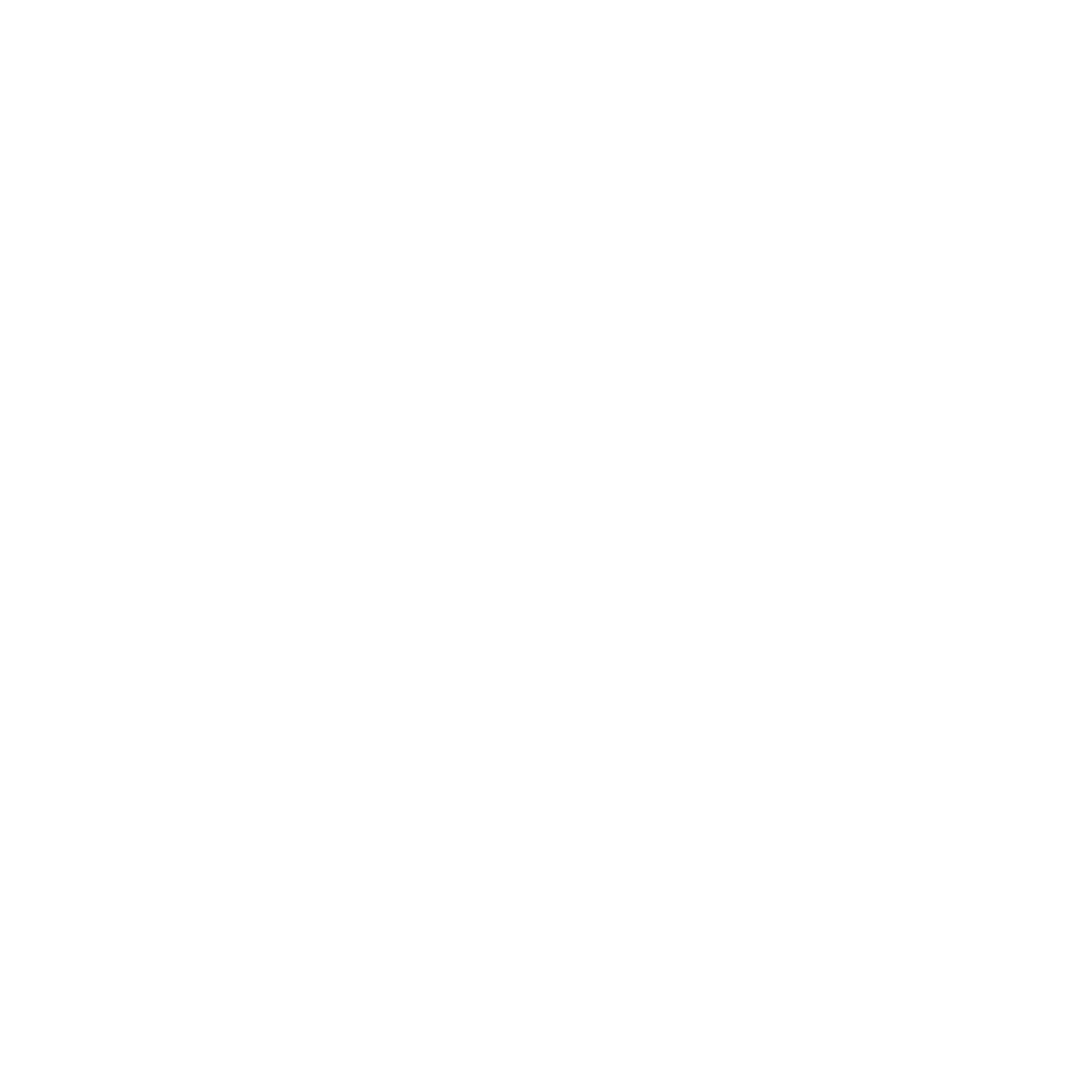 Payments collection icon