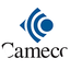 Cameco icon