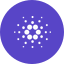 Cardano icon