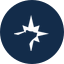 BigBear.ai Holdings icon