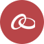 Entegris icon