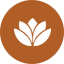 India icon