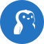 Pudgy Penguins icon