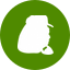 Pepe icon