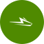 Wolfspeed icon