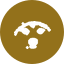 dogwifhat icon