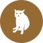 Cash Cat icon