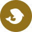 Orca icon