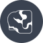 Janction icon