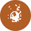 BurnedFi icon
