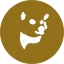 Neiro icon