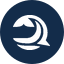 Bluwhale icon