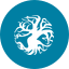 KOTAI icon