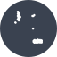Chinese Oil Asset Reserve icon