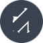 Animecoin icon