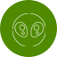 SaucerSwap icon