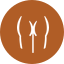 Buttcoin icon