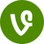 Vine icon