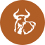 Tethereum icon