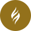 Vulcan Forged icon