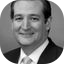 Ted Cruz icon