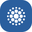 Chris Hohn icon